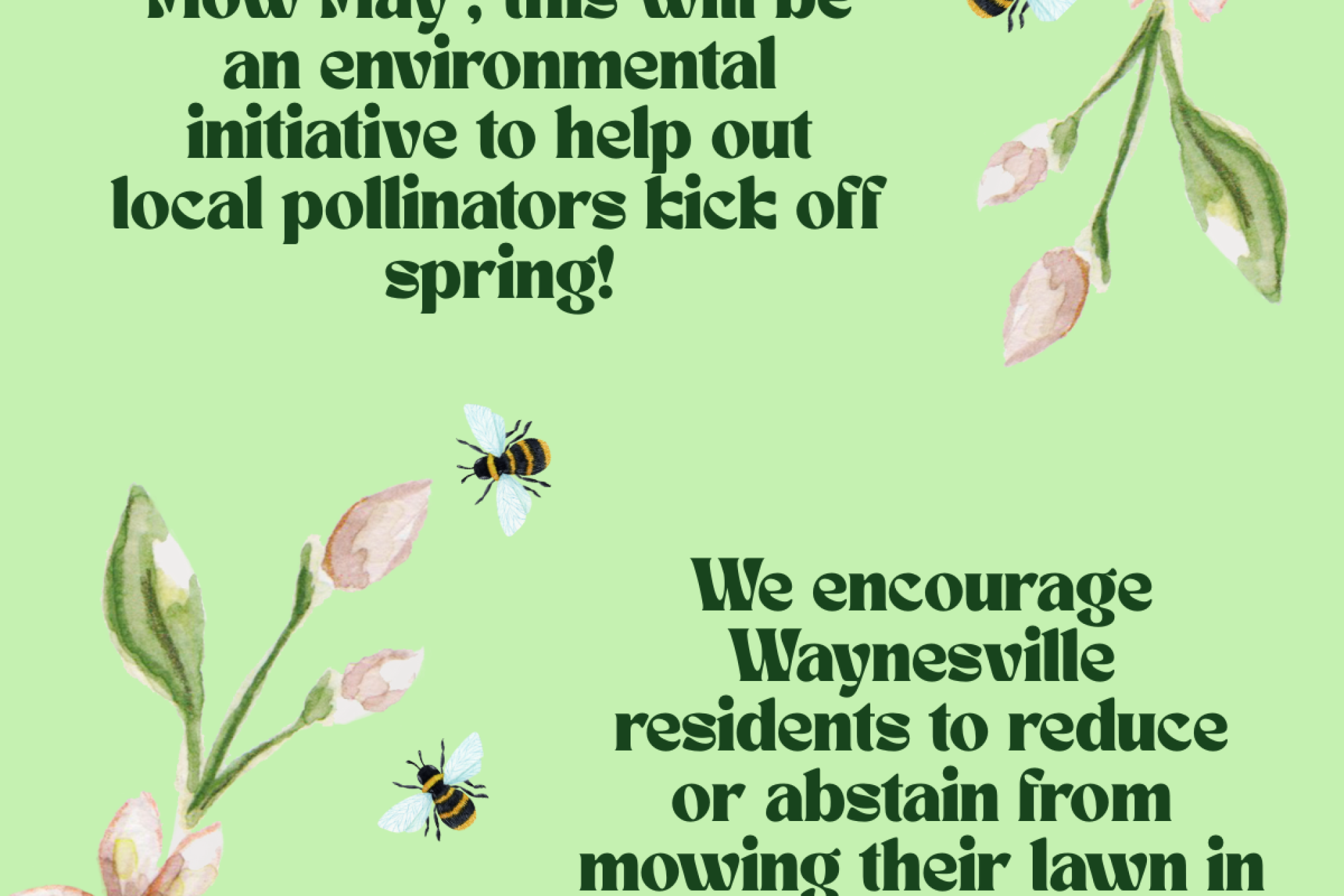 No Mow May! Pollinator Awareness